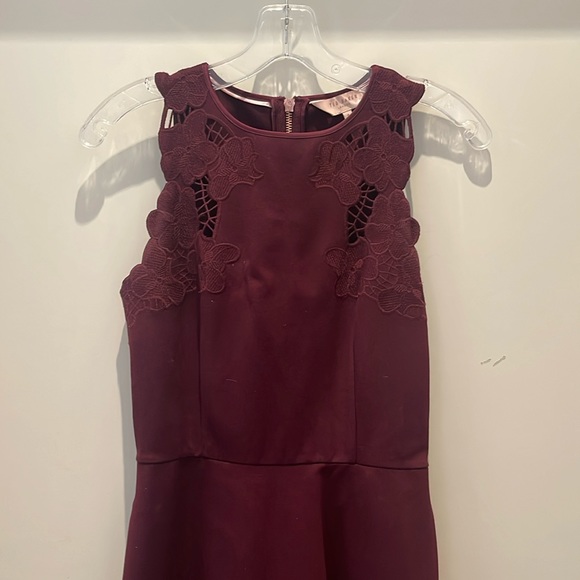 Ted Baker Emmona Embroidered Skater Dress Maroon - Picture 5 of 10